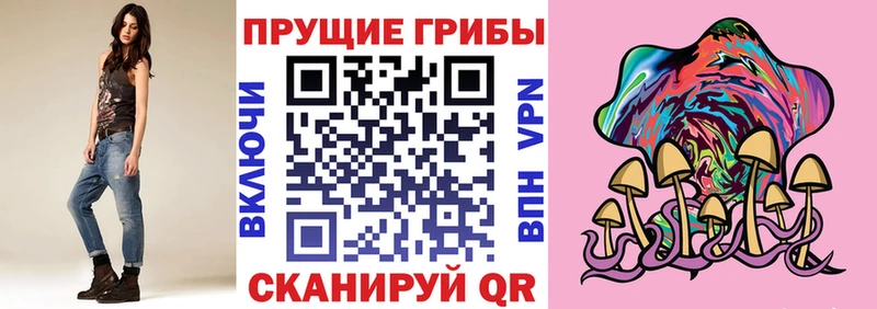 цены   Зубцов  Галлюциногенные грибы Cubensis 